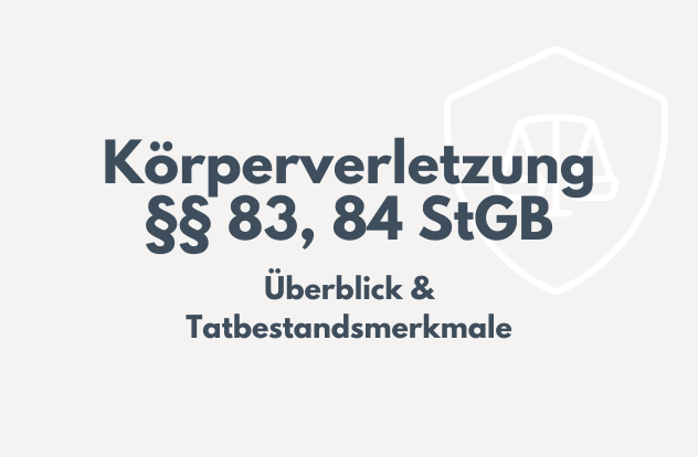 Rechtsanwalt Dr. Elias Schönborn über Körperverletzung §§ 83, 84 StGB