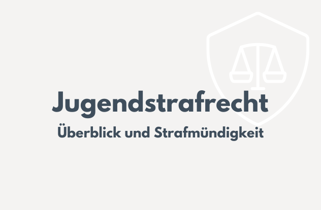 Rechtsanwalt und Strafverteidigung Dr. Elias Schönborn