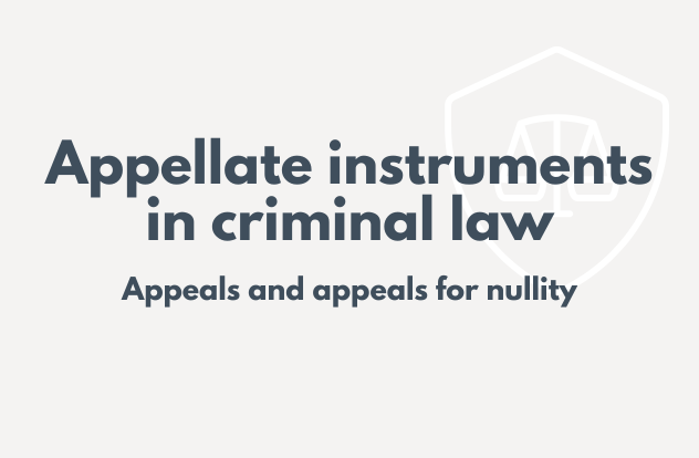 Criminal defense lawyer Vienna, Appellate instruments in criminal law - appeals and appeals for nullity