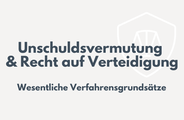 Strafverteidiger Dr. Elias Schönborn